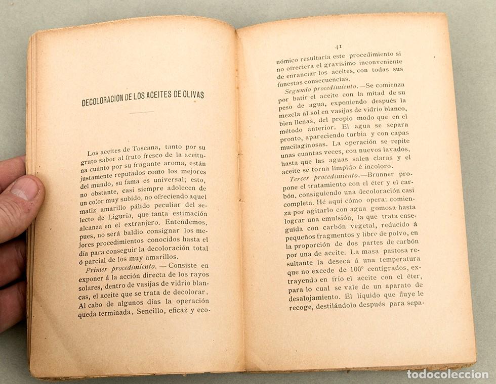 Libros antiguos: EL ACEITE DE OLIVAS - ALEJANDRO BIZZARRI - 1900 - Foto 5
