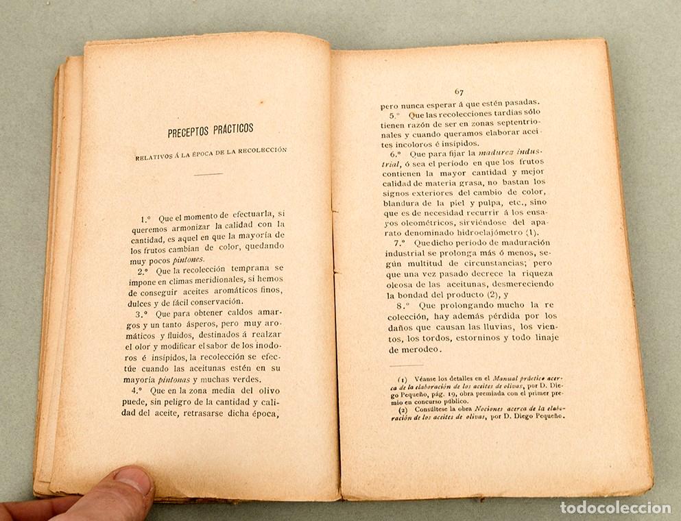 Libros antiguos: EL ACEITE DE OLIVAS - ALEJANDRO BIZZARRI - 1900 - Foto 6