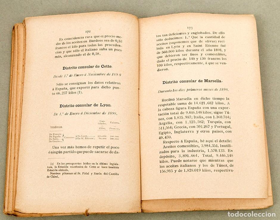 Libros antiguos: EL ACEITE DE OLIVAS - ALEJANDRO BIZZARRI - 1900 - Foto 8