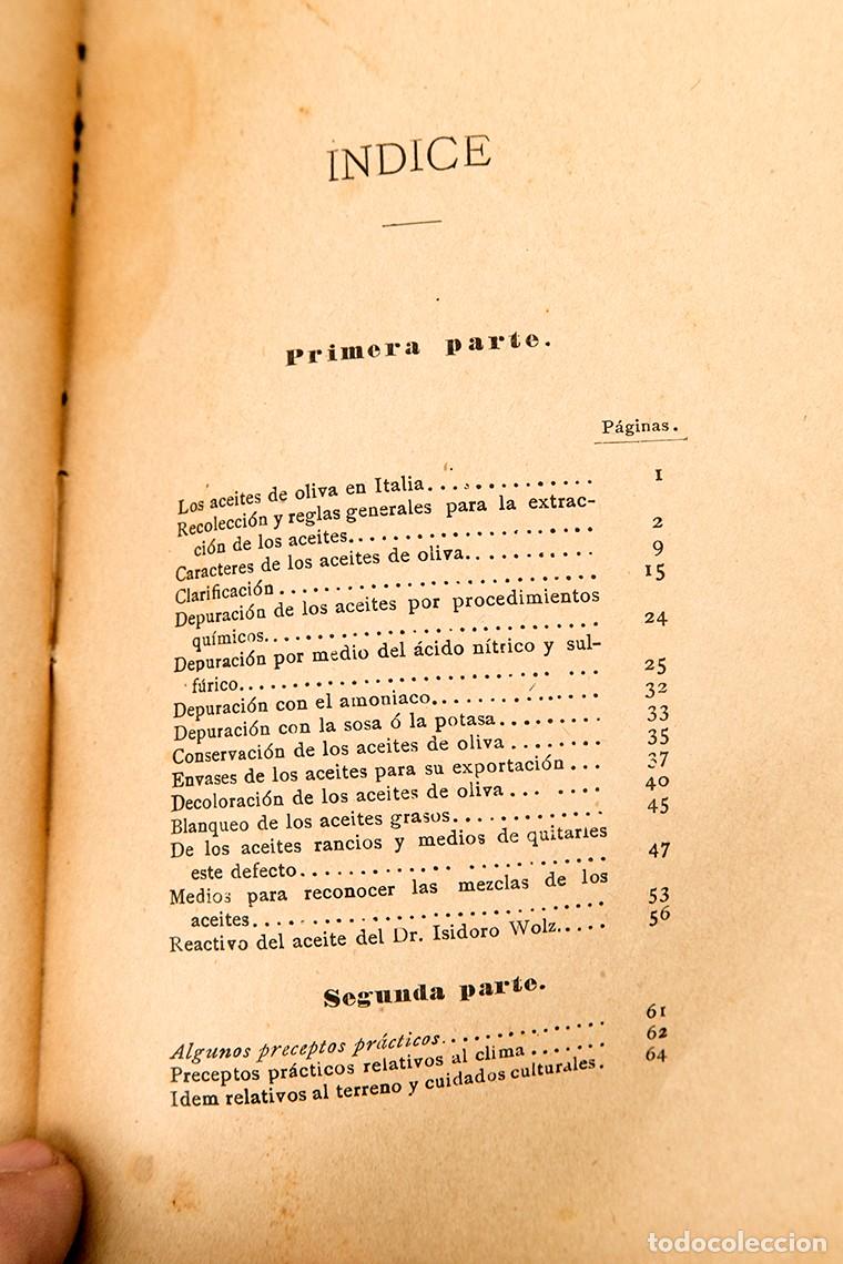 Libros antiguos: EL ACEITE DE OLIVAS - ALEJANDRO BIZZARRI - 1900 - Foto 10