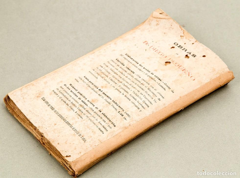 Libros antiguos: EL ACEITE DE OLIVAS - ALEJANDRO BIZZARRI - 1900 - Foto 13