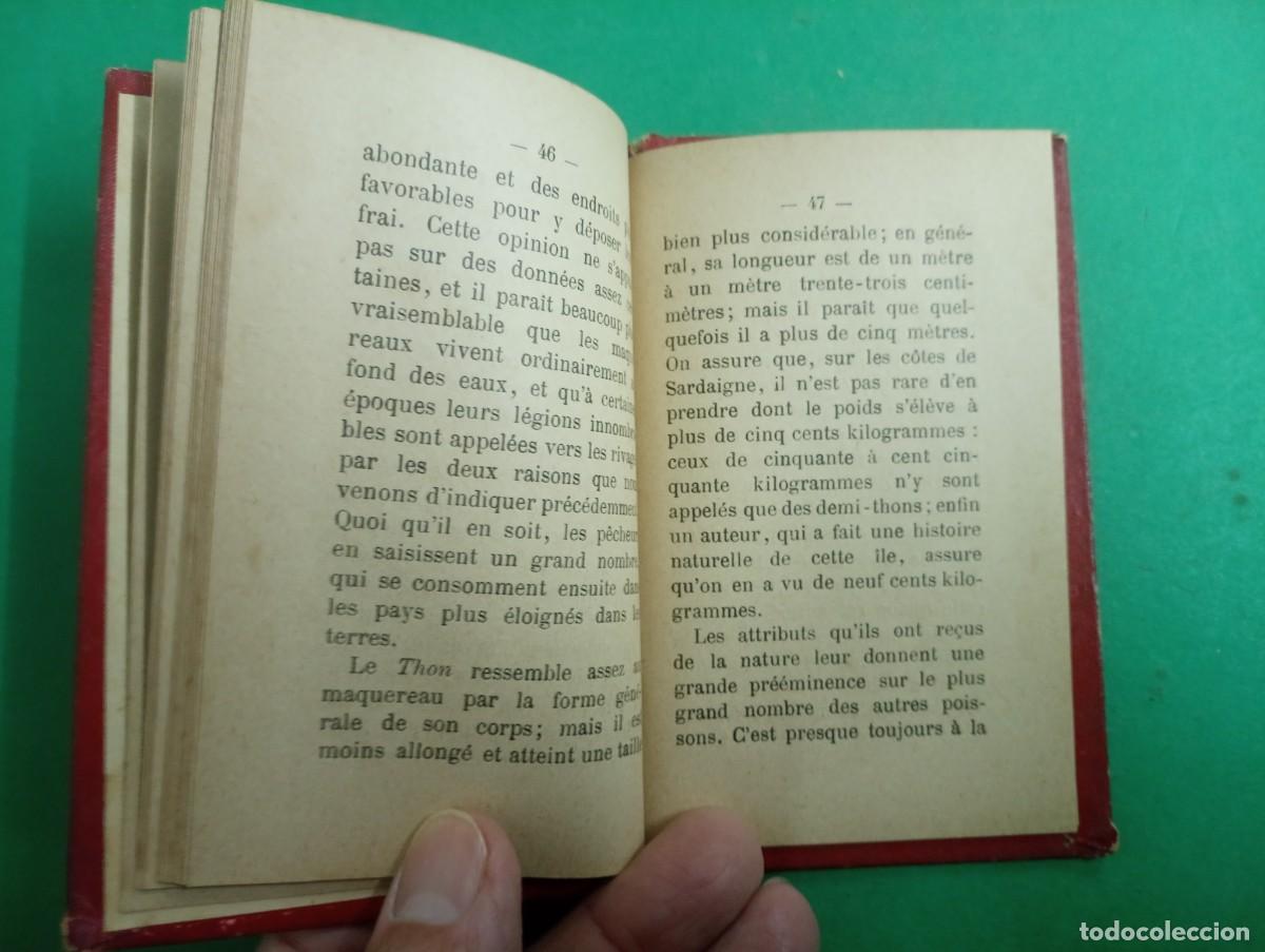 Libros antiguos: Antiguo libro Les Petits P&egrave;cheurs. Tours. - Foto 4