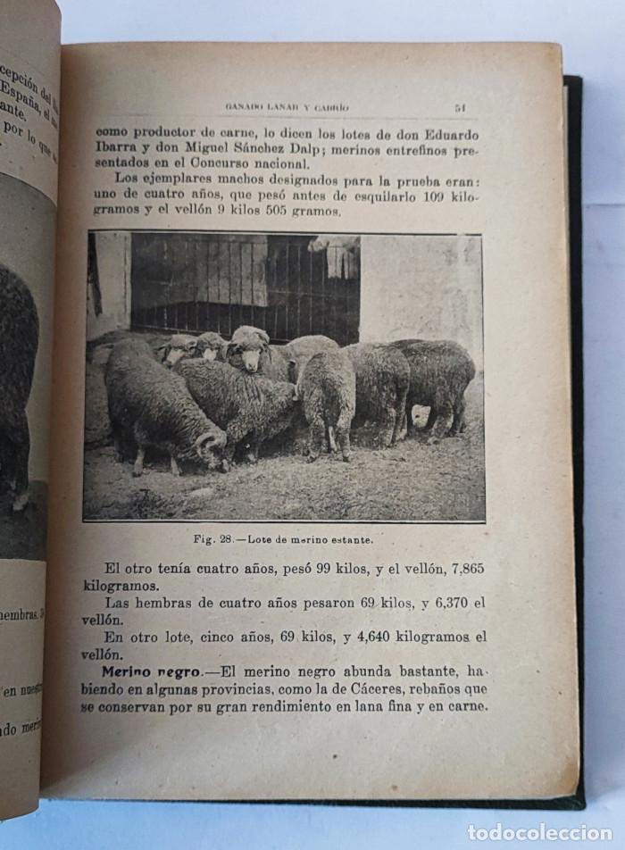 Libros antiguos: GANADO LANAR Y CABR&Iacute;O - Santos Ar&aacute;n Circa - Foto 2
