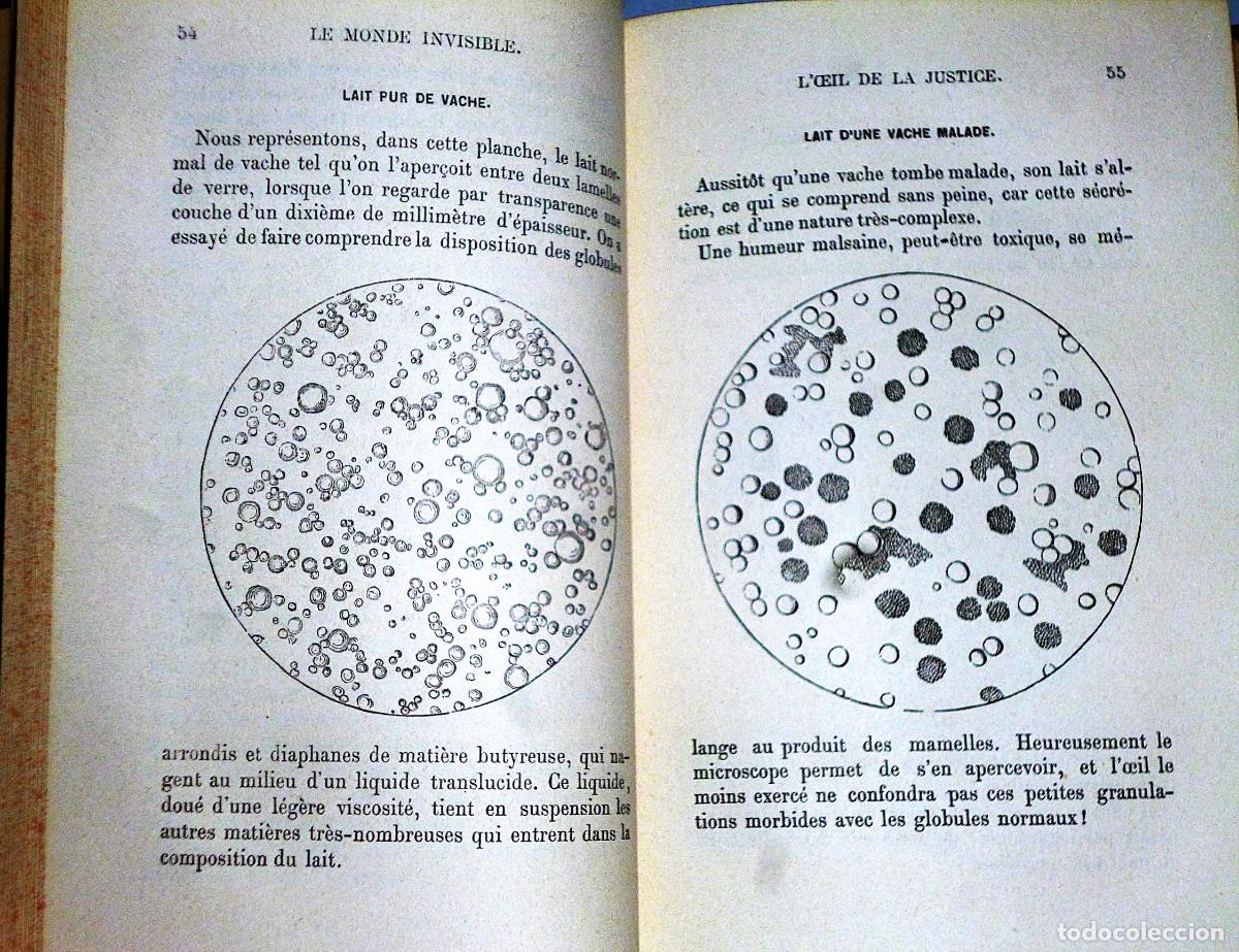 Libros antiguos: LES MERVEILLES DU MONDE INVISIBLE - Foto 4