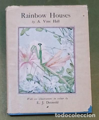Libri antichi: Hall, A. Vine: Rainbow Houses For Boys & Girls. Colour illustrations by E. J. Detmold. 1923 1&ordf; Ed.