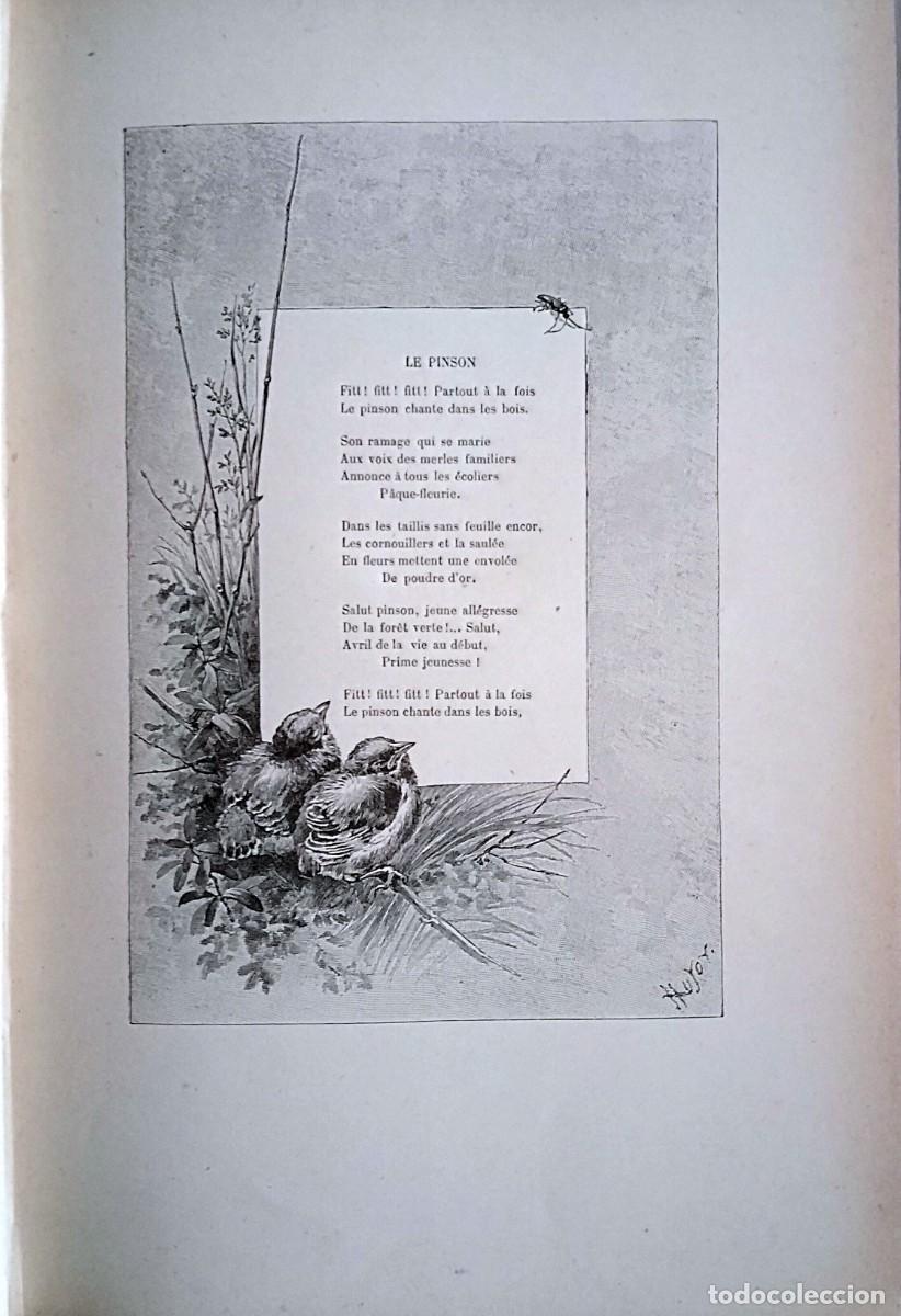 Libros antiguos: ANDR&Eacute; THEURIET - NOS OISEAUX - Foto 3