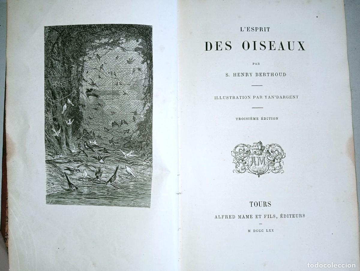 Libros antiguos: L&acute;ESPRIT DES OISEAUX - Foto 2