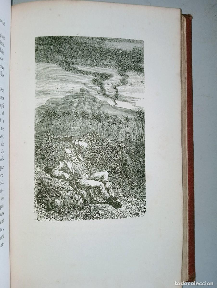 Libros antiguos: L&acute;ESPRIT DES OISEAUX - Foto 3