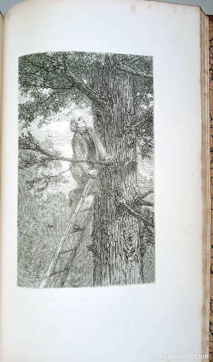 Libros antiguos: L&acute;ESPRIT DES OISEAUX - Foto 4