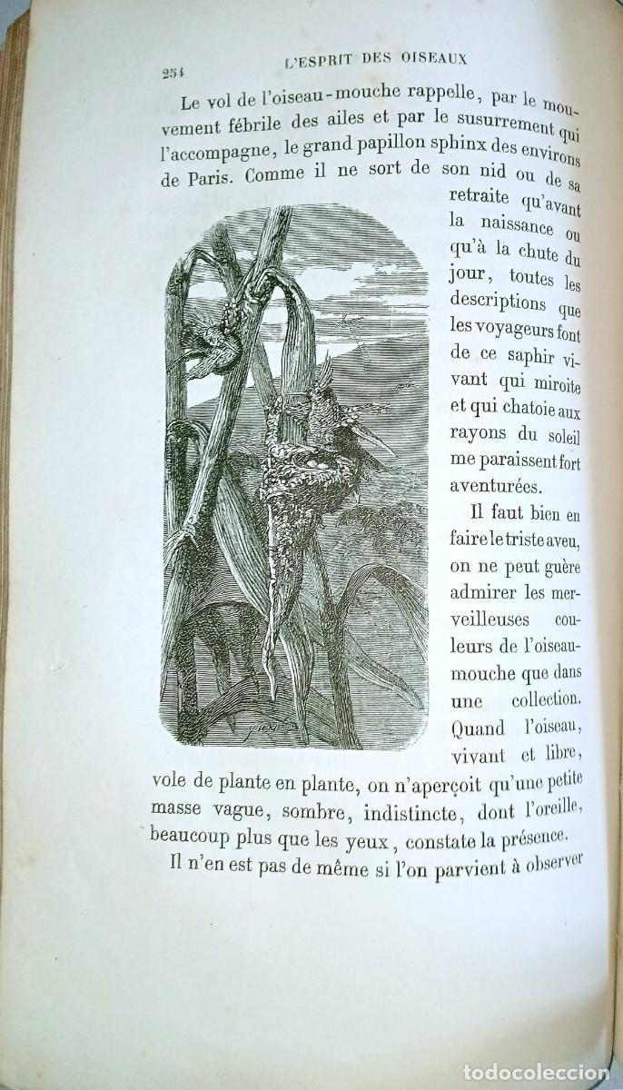 Libros antiguos: L&acute;ESPRIT DES OISEAUX - Foto 5