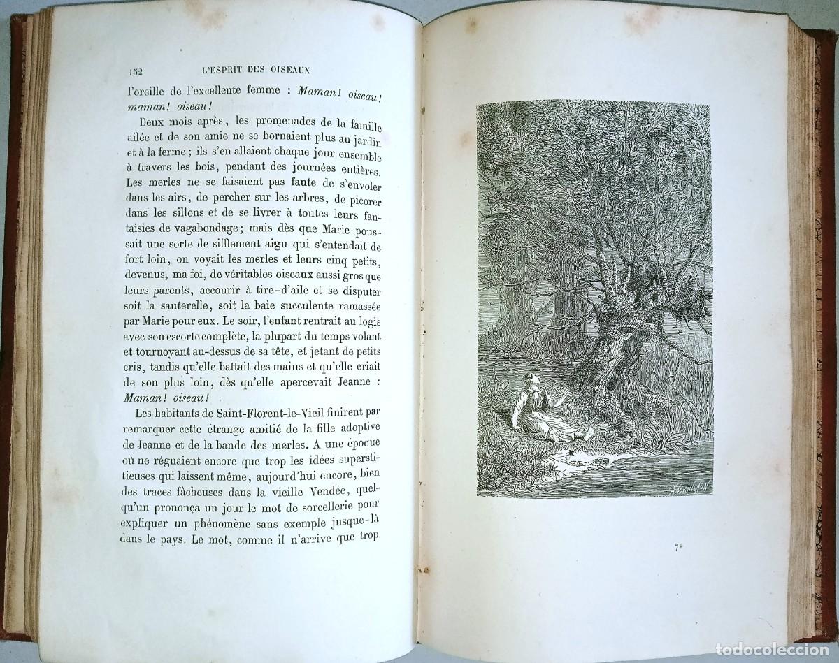 Libros antiguos: L&acute;ESPRIT DES OISEAUX - Foto 6