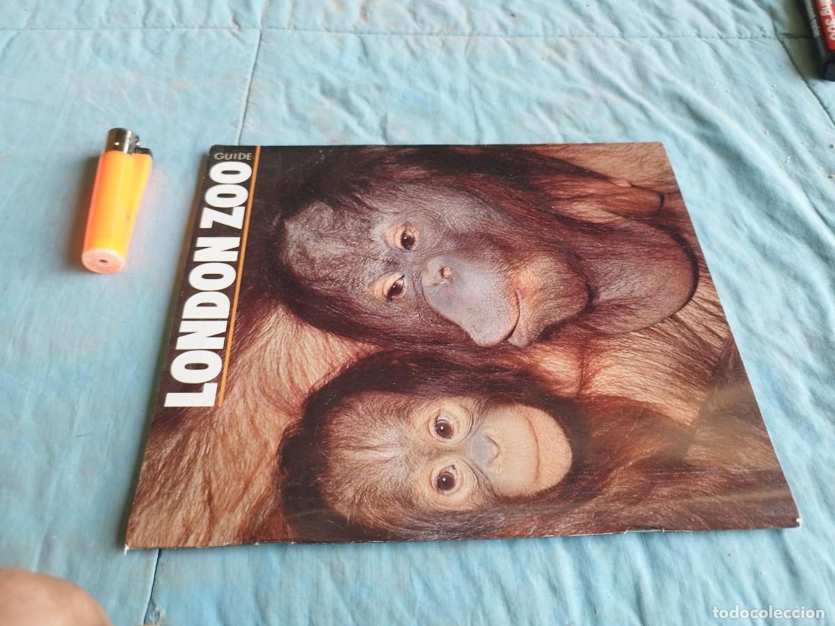 Libros antiguos: LONDON ZOO / / GV 87 - Foto 1