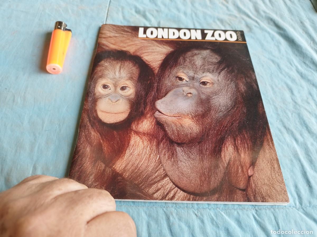 Libros antiguos: LONDON ZOO / / GV 87 - Foto 2