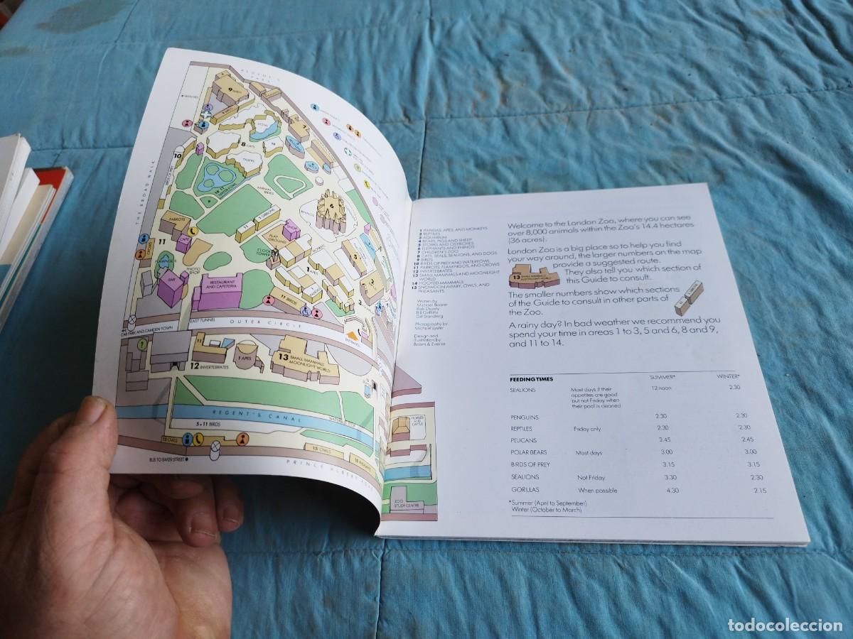 Libros antiguos: LONDON ZOO / / GV 87 - Foto 3