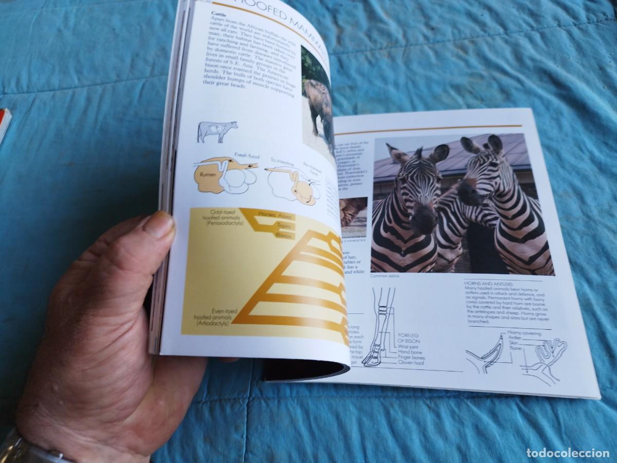 Libros antiguos: LONDON ZOO / / GV 87 - Foto 4