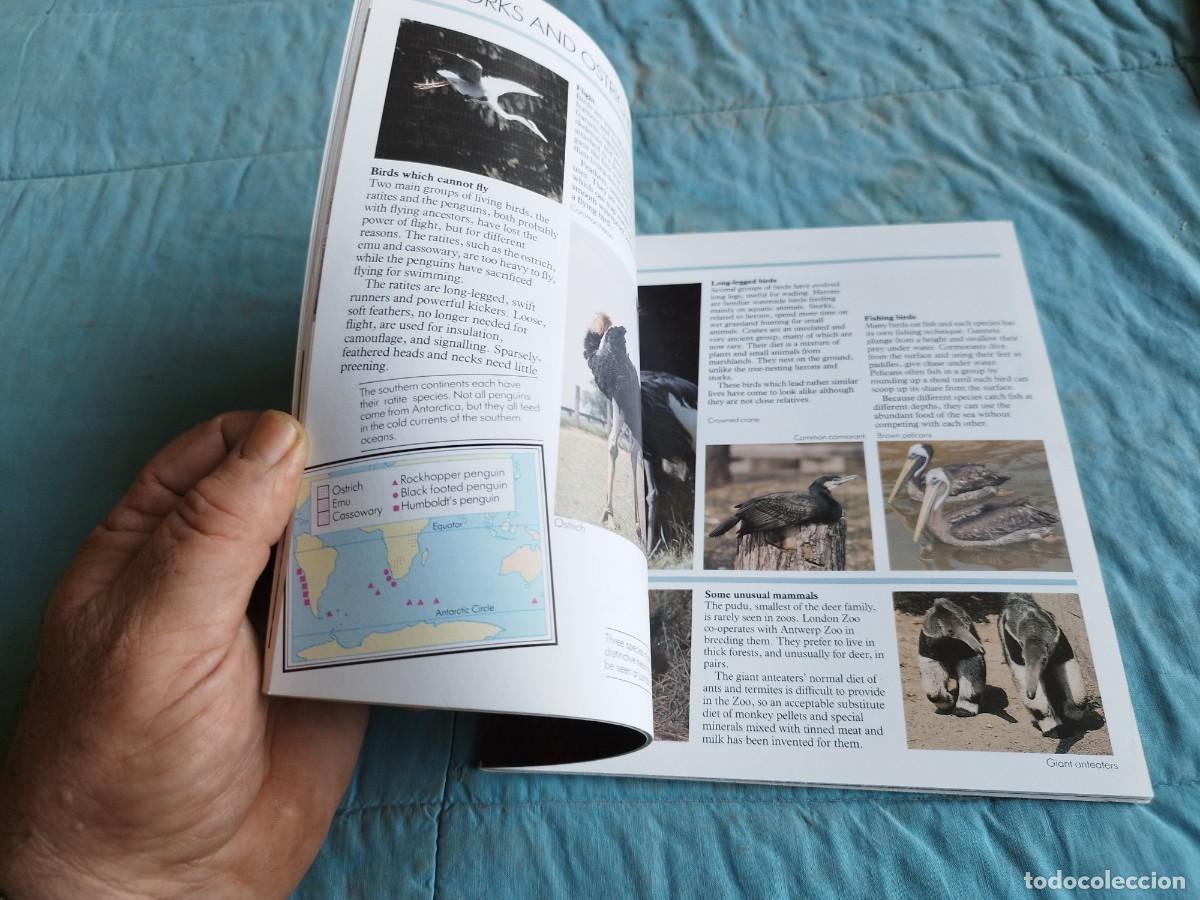 Libros antiguos: LONDON ZOO / / GV 87 - Foto 6