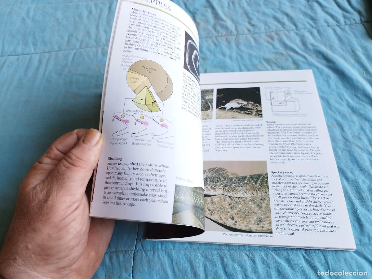 Libros antiguos: LONDON ZOO / / GV 87 - Foto 8