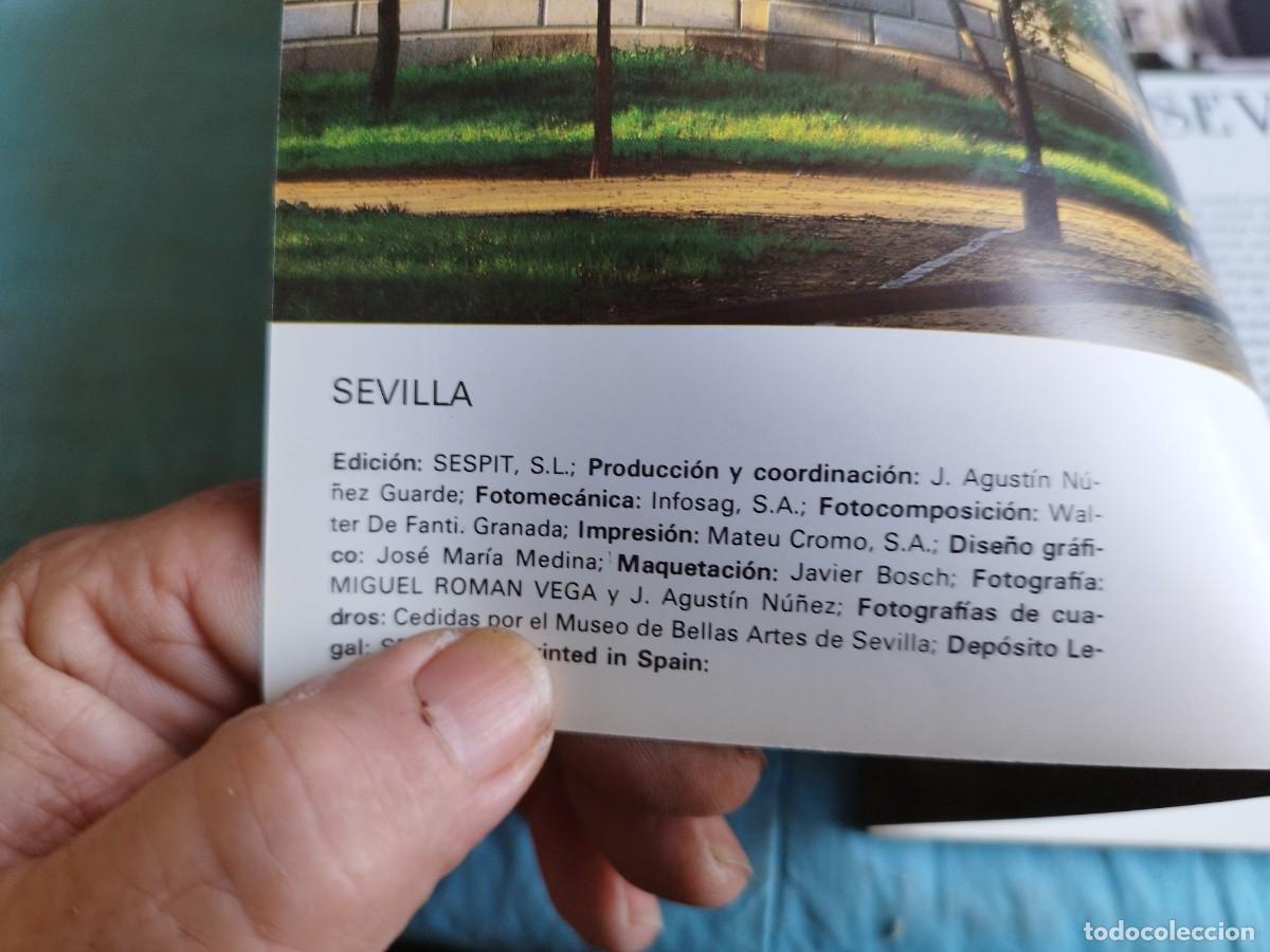 Libros antiguos: SEVILLA / VER Y COMPRENDER / GV 87 - Foto 3