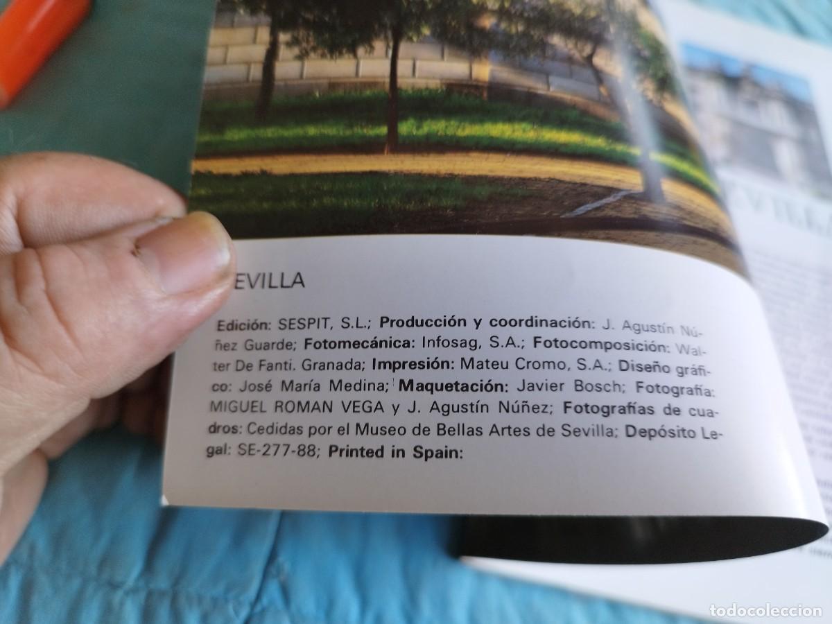 Libros antiguos: SEVILLA / VER Y COMPRENDER / GV 87 - Foto 5