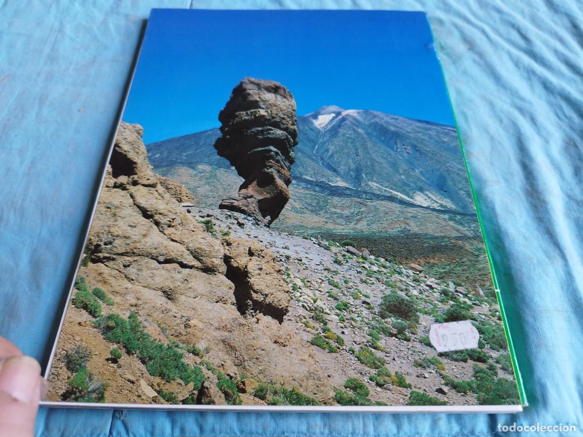Libros antiguos: TENERIFE / / GV 87 / BONECHI - Foto 3