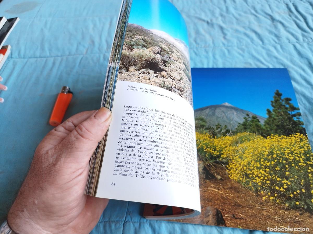 Libros antiguos: TENERIFE / / GV 87 / BONECHI - Foto 6