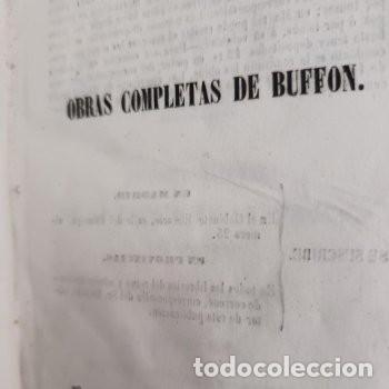 Libros antiguos: OBRAS COMPLETAS DE BUFFON (1847) - Foto 6