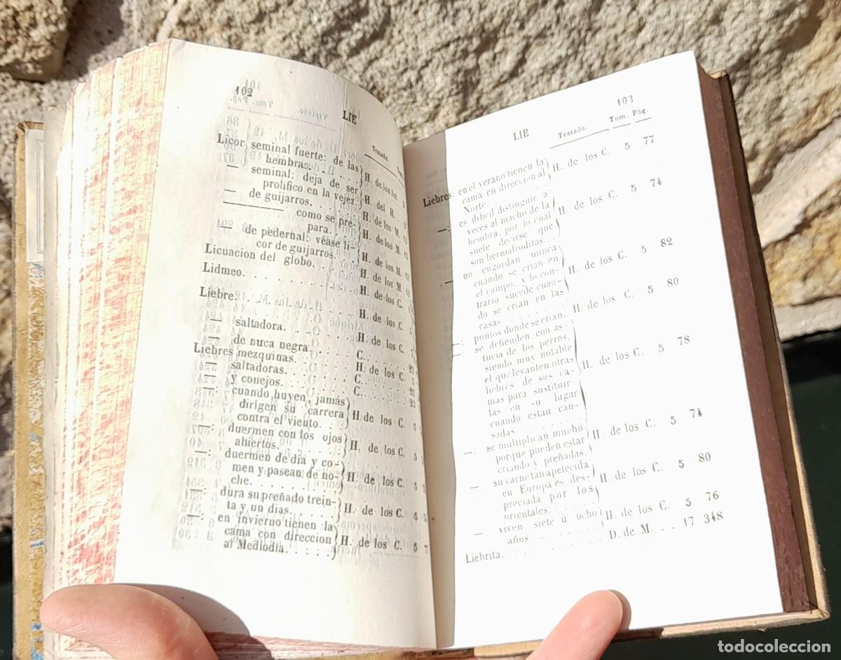Libros antiguos: OBRAS COMPLETAS DE BUFFON (1847) - Foto 12