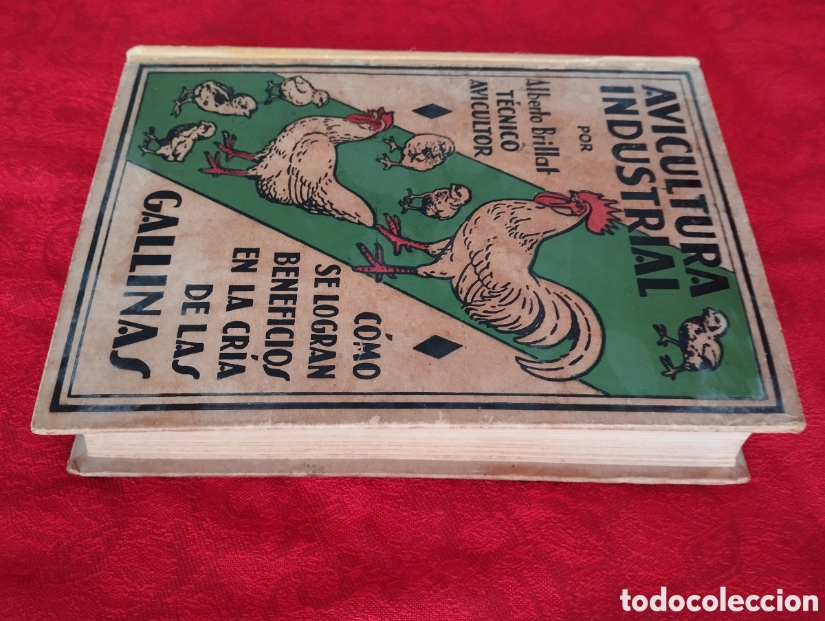 Libros antiguos: Libro Cria de Gallinas 1930. - Foto 2