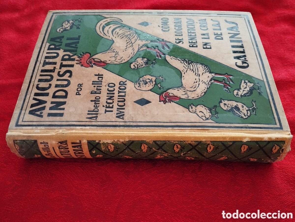 Libros antiguos: Libro Cria de Gallinas 1930. - Foto 3