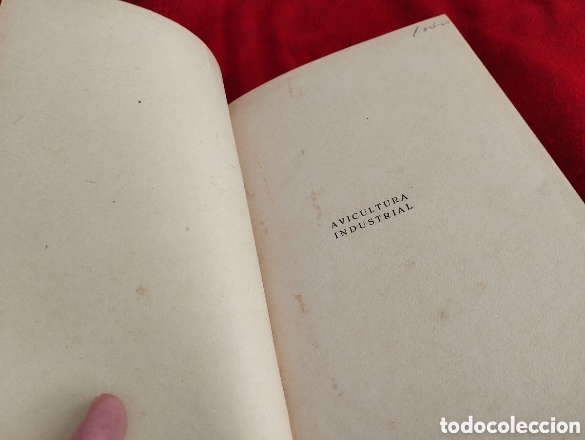 Libros antiguos: Libro Cria de Gallinas 1930. - Foto 6
