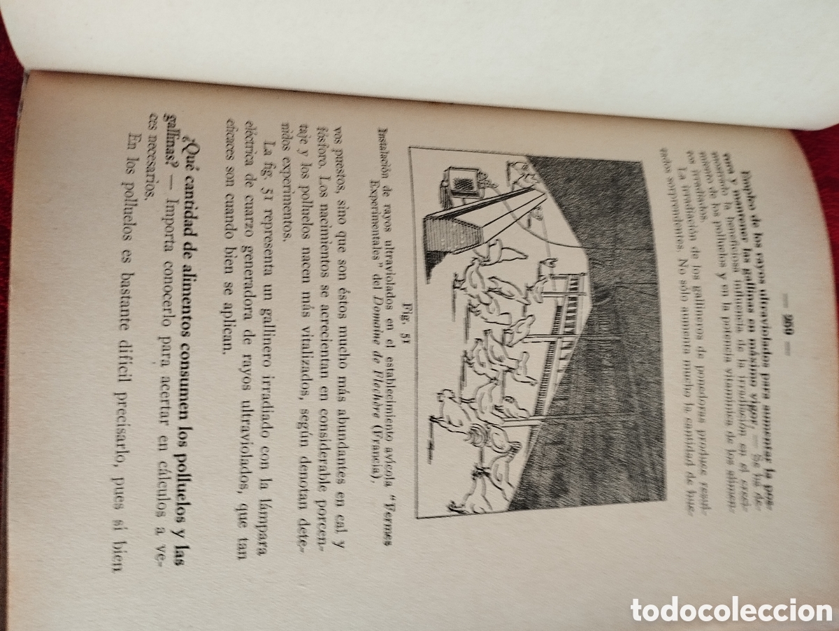 Libros antiguos: Libro Cria de Gallinas 1930. - Foto 9