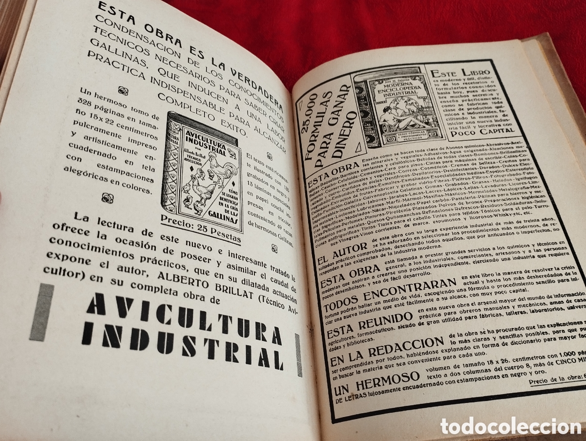 Libros antiguos: Libro Cria de Gallinas 1930. - Foto 11