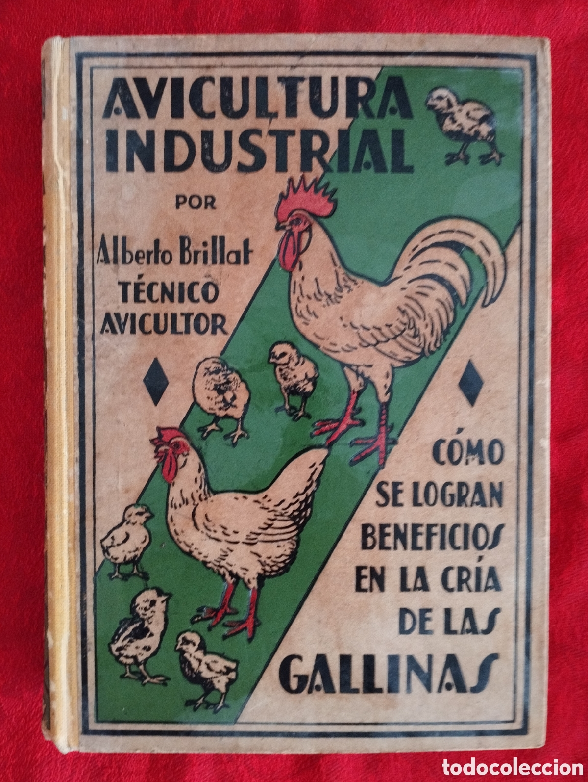 Libros antiguos: Libro Cria de Gallinas 1930. - Foto 1