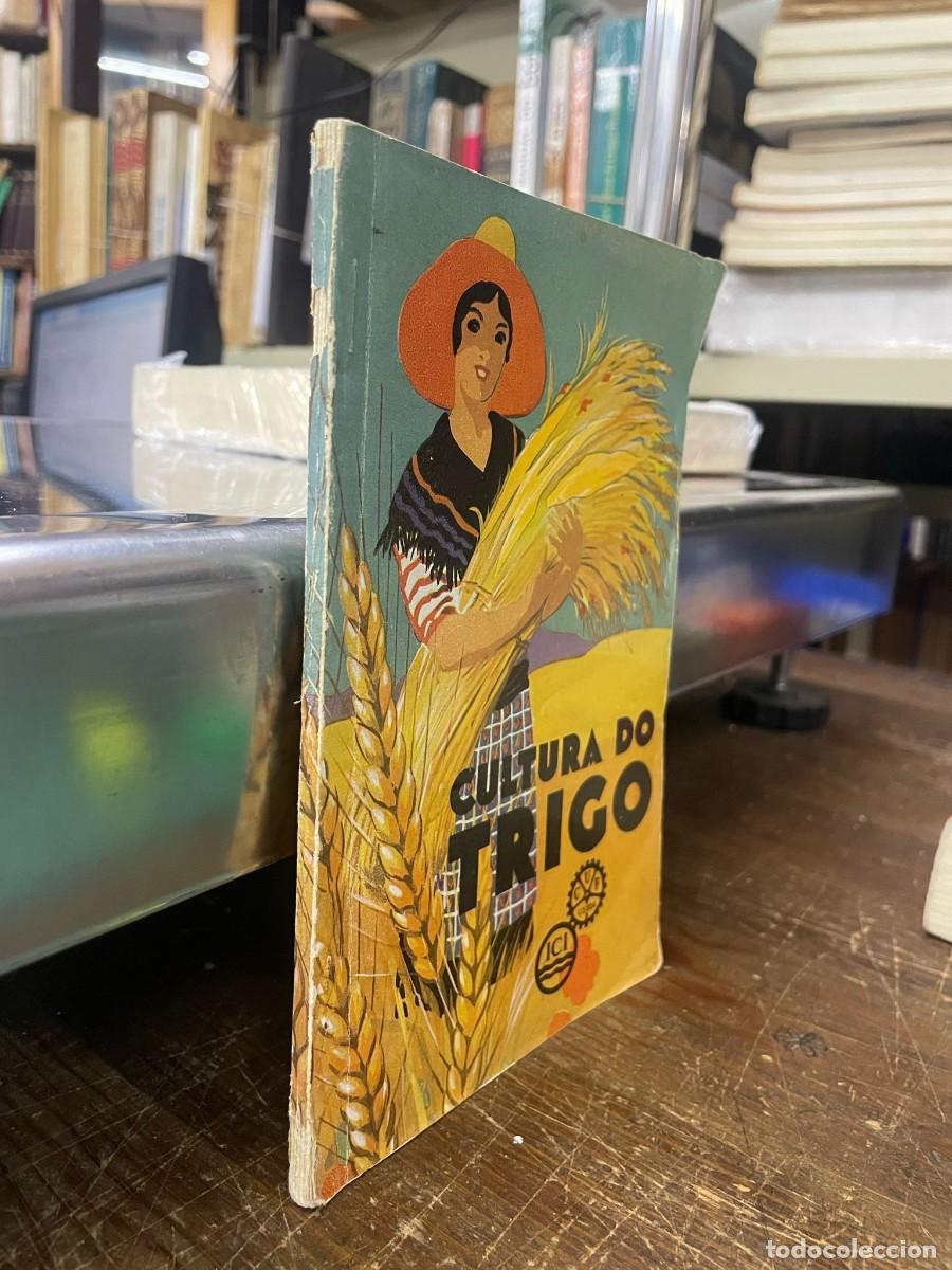 Libros antiguos: SEABRA. (Ant&oacute;nio Lu&iacute;s de) - O TRIGO. - Foto 2