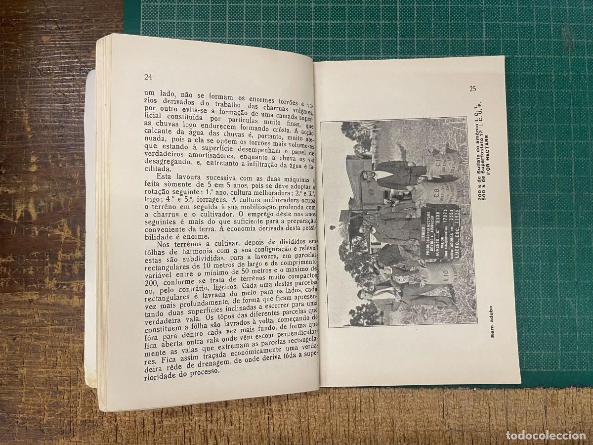 Libros antiguos: SEABRA. (Ant&oacute;nio Lu&iacute;s de) - O TRIGO. - Foto 3