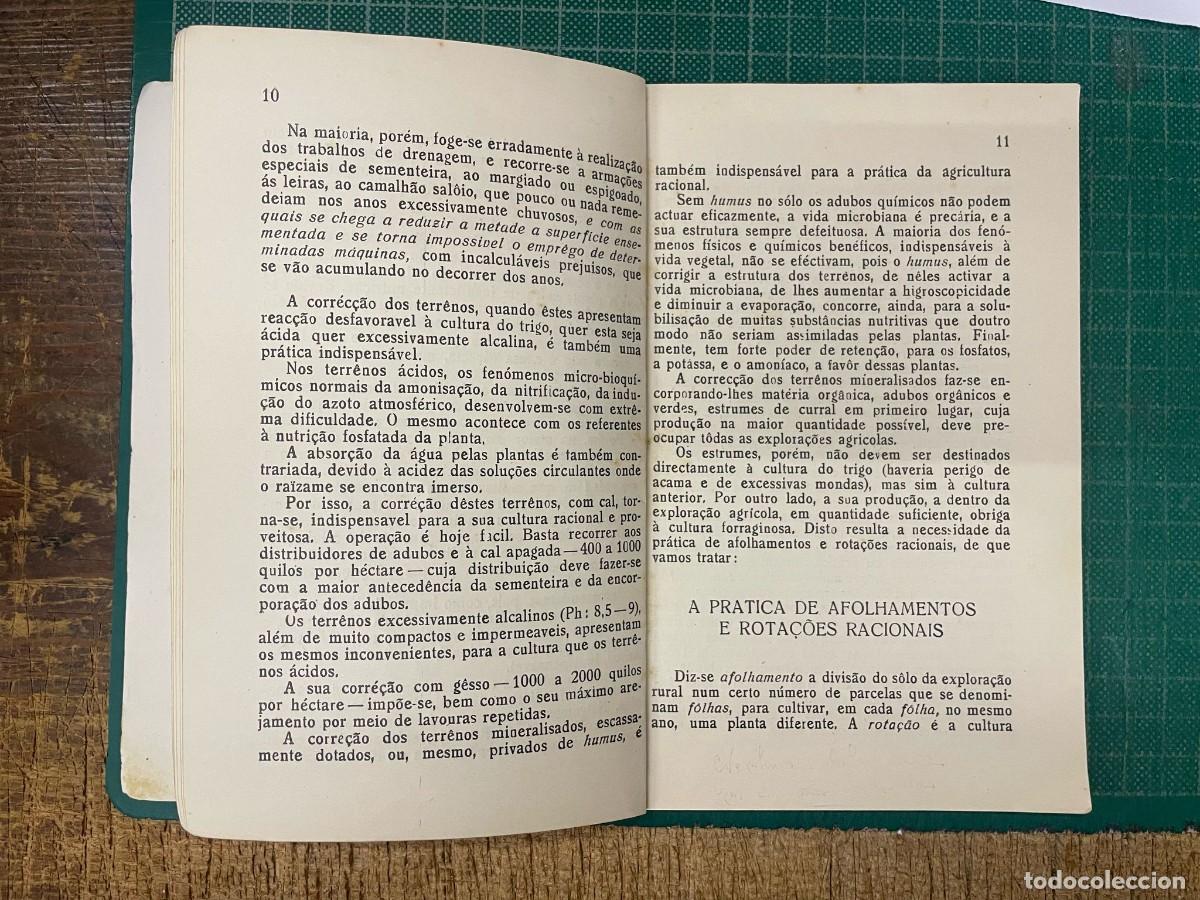 Libros antiguos: SEABRA. (Ant&oacute;nio Lu&iacute;s de) - O TRIGO. - Foto 4