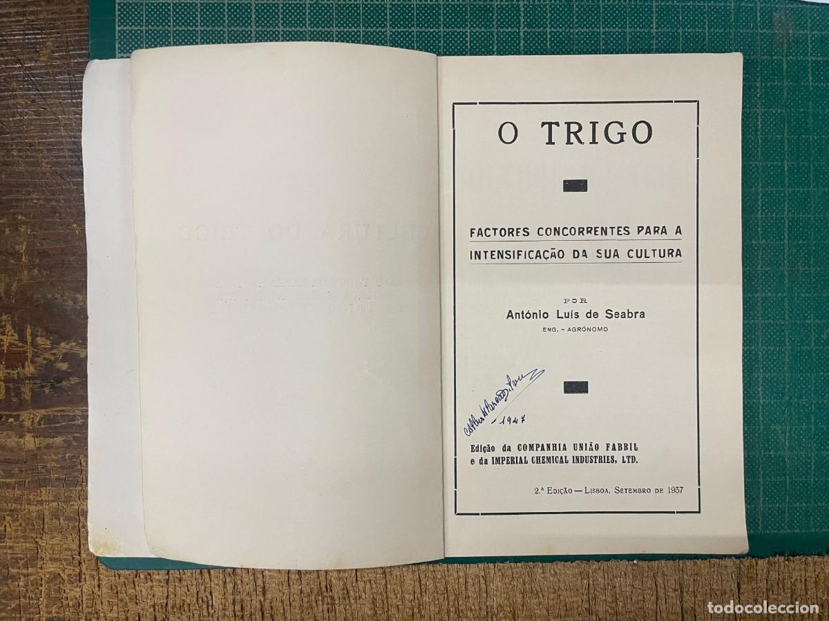 Libros antiguos: SEABRA. (Ant&oacute;nio Lu&iacute;s de) - O TRIGO. - Foto 5