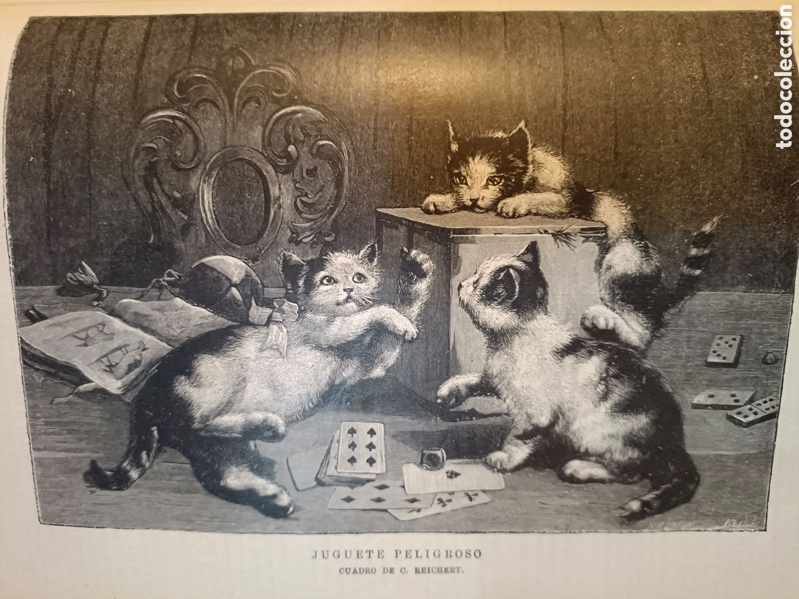 Libros antiguos: Almanaque de La Ilustraci&oacute;n Dos Tomos - Foto 5