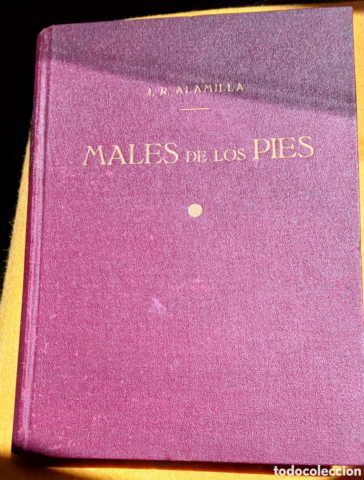 Libros antiguos: Mal de los Pies, Alamilla - Foto 1