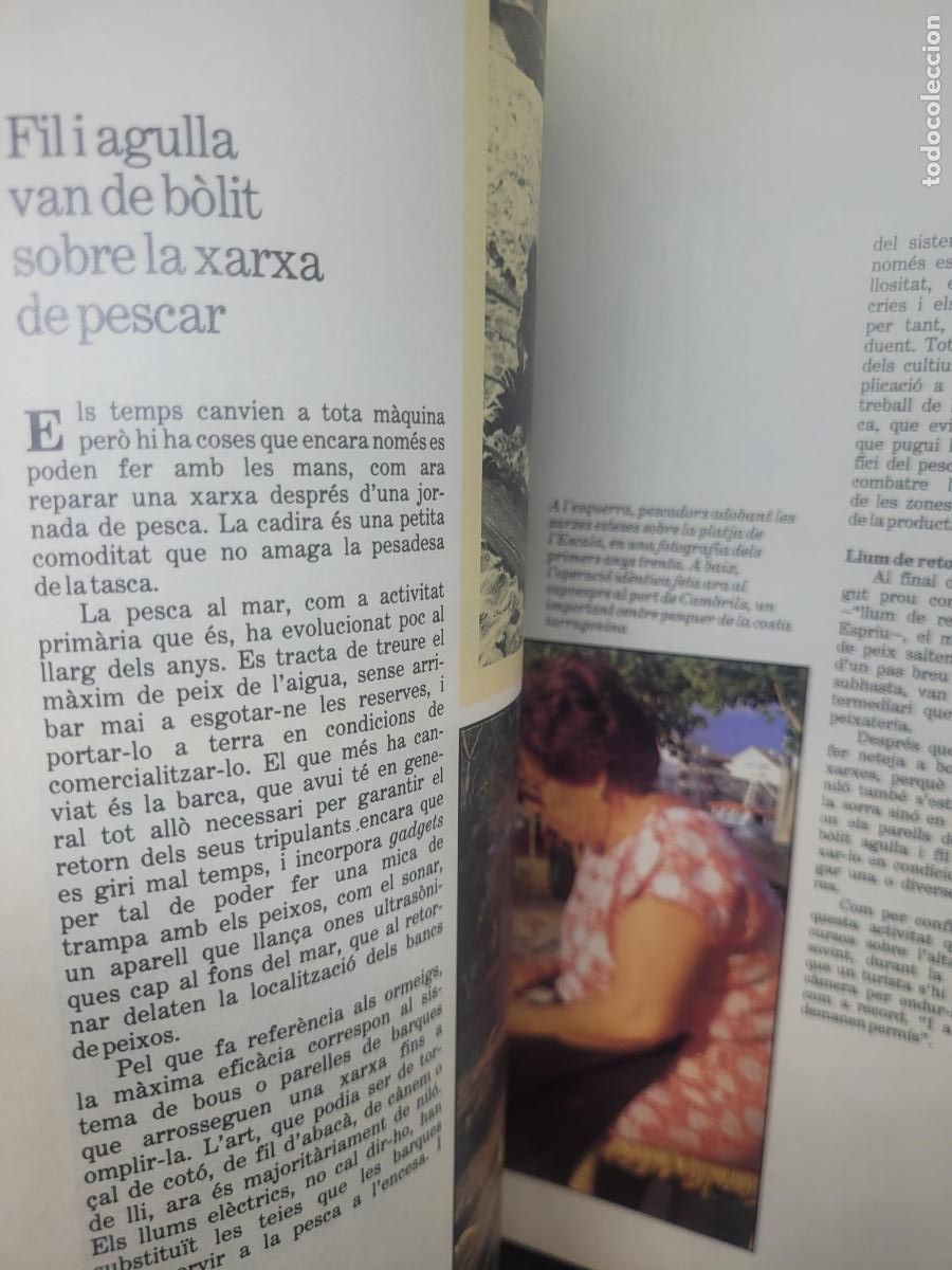 Libros antiguos: IMATGES DUNA TRANSFORMACIO RECUADRO NARANJA EN PORTDA - Foto 4