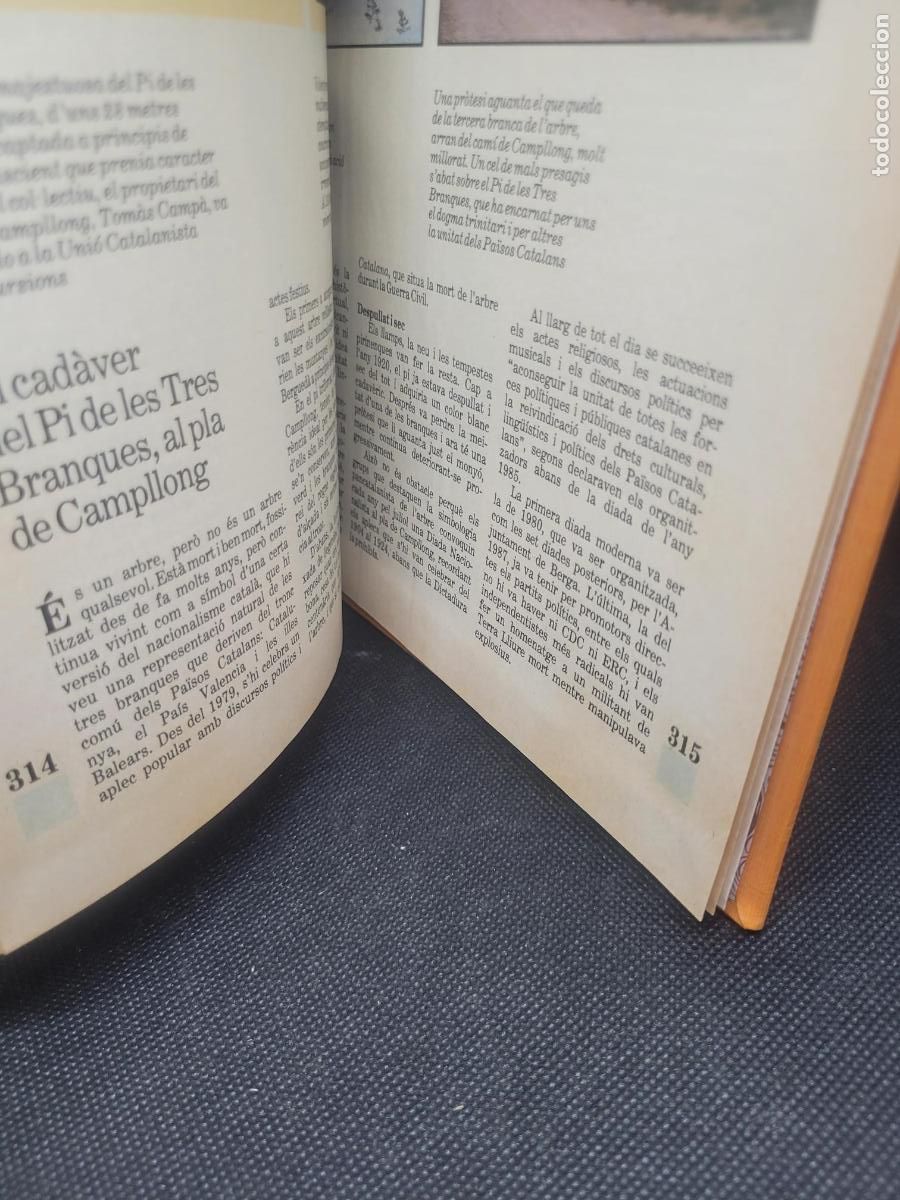 Libros antiguos: IMATGES DUNA TRANSFORMACIO RECUADRO NARANJA EN PORTDA - Foto 5