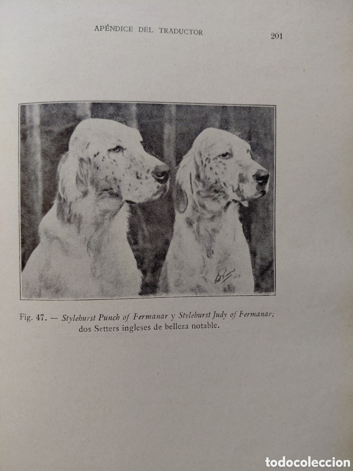 Libros antiguos: El perro de raza. Bommier. Primera edici&oacute;n 1935 - Foto 3
