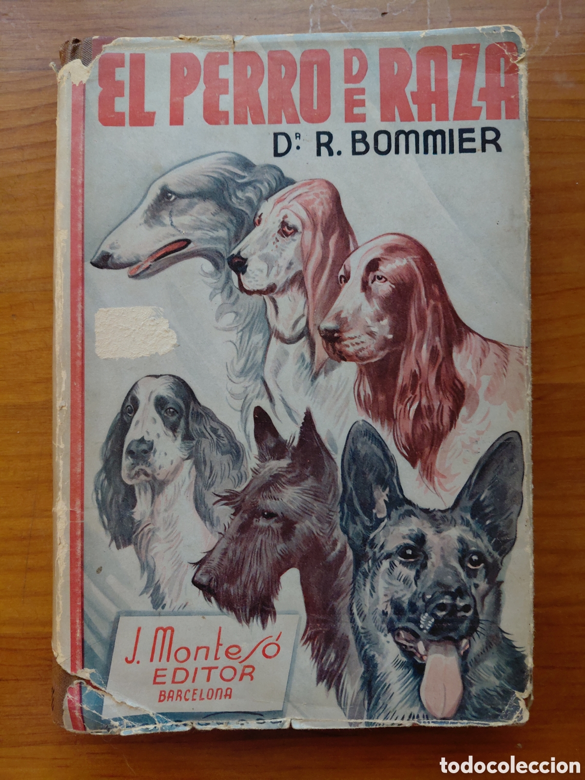 Libros antiguos: El perro de raza. Bommier. Primera edici&oacute;n 1935 - Foto 1