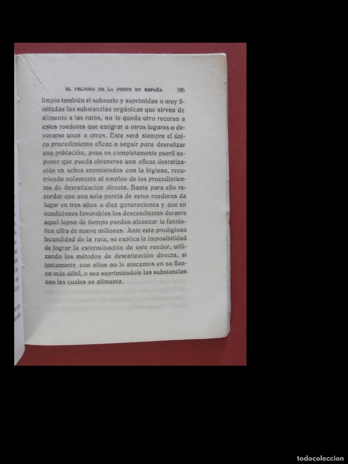 Libros antiguos: El peligro de la peste en Espa&ntilde;a- Eduardo Delgado. - Foto 2