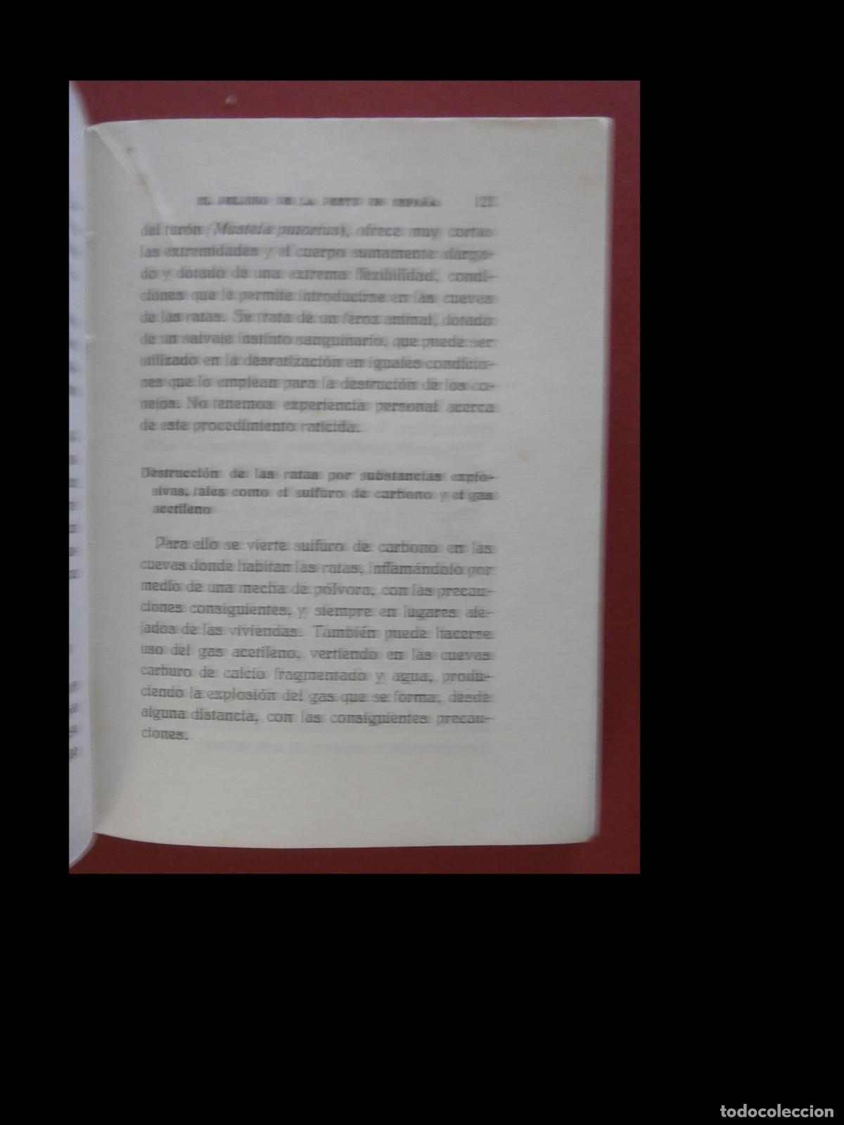 Libros antiguos: El peligro de la peste en Espa&ntilde;a- Eduardo Delgado. - Foto 3