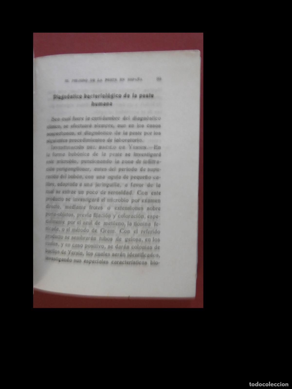 Libros antiguos: El peligro de la peste en Espa&ntilde;a- Eduardo Delgado. - Foto 4