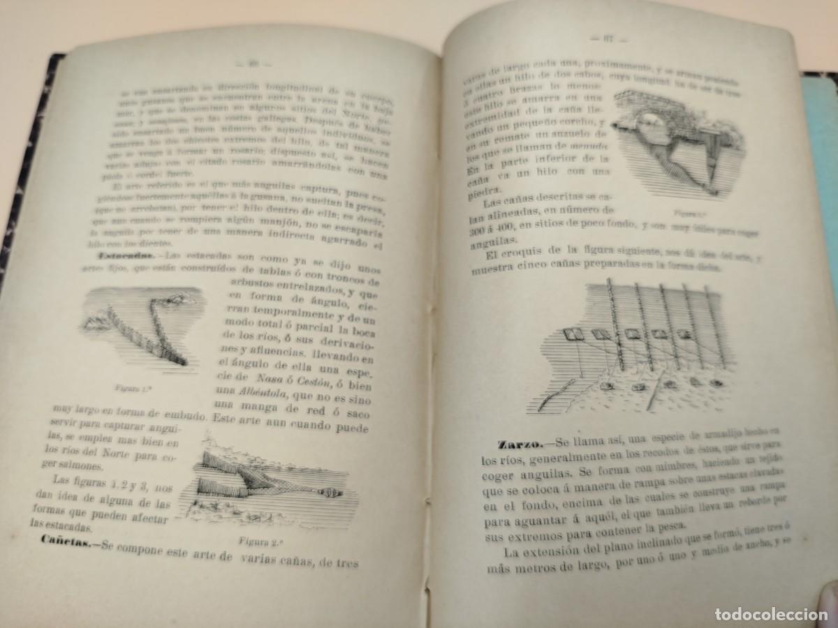 Libros antiguos: ANGUILAS Y ANGULAS ANGEL PARDO RARISIMO - Foto 11