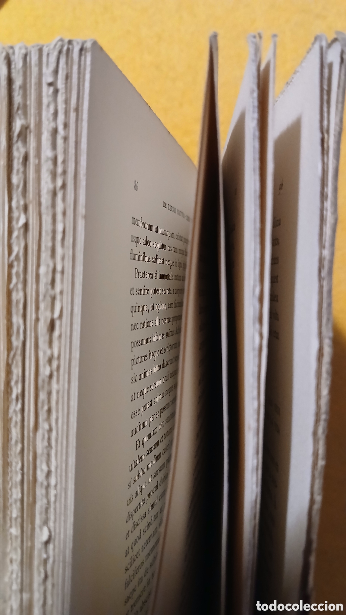 Libros antiguos: De la Natura, Lucreci, Escriptors Llatins - Foto 10