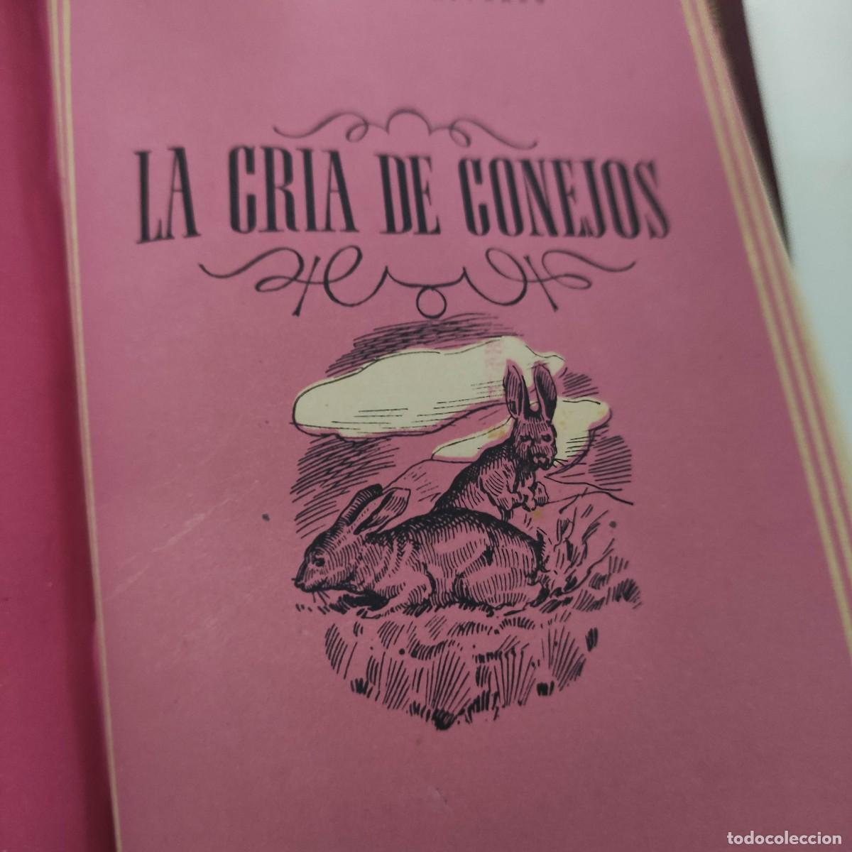 Libros antiguos: 6 TOMOS COLECCION UNIVERSO. EDICIONES ESPA&Ntilde;A. - Foto 10
