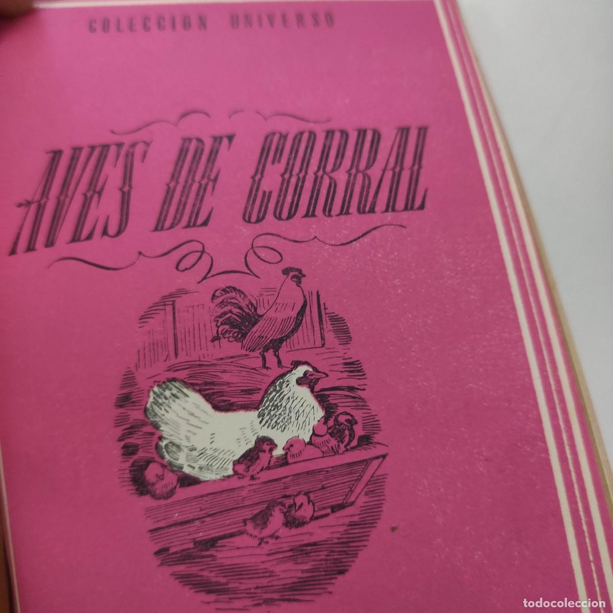 Libros antiguos: 6 TOMOS COLECCION UNIVERSO. EDICIONES ESPA&Ntilde;A. - Foto 11